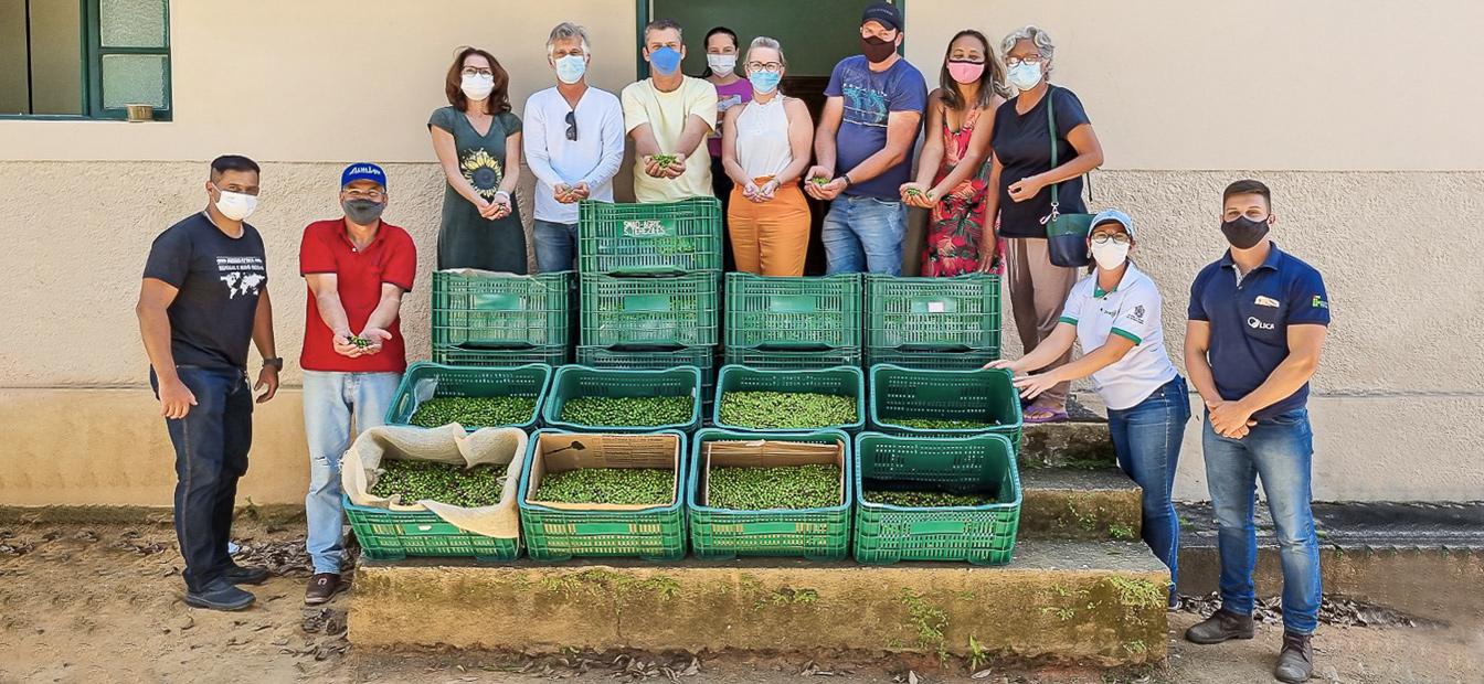 Foto com os associados da OLIVES - Primeira colheita e extração de azeite dos produtores da Olives em Março de 2022